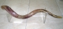 Lucite Yemenite Shofar Stand
