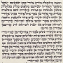 Ashkenaz Torah Scroll - Ktav Beit Yossef