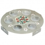 Colorful Pomegranate Seder Plate