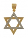 Gold Filled Two Tone Star of David Pendant