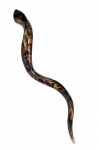 Collectors Hand Painted Yemenite Shofar - Gold Grapevine