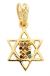 Gold Filled Mini Twelve Tribes Star of David Pendant