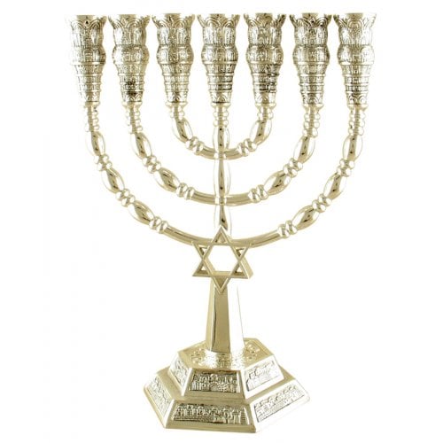 7 Branch Menorah with Star of David and Jerusalem Images, Silver  9.4 or 6