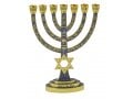 7-Branch Gold Menorah with Gray Enamel, Judaic Symbols & Star of David - 9.5