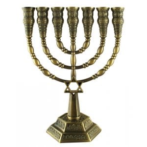 7-Branch Menorah with Star of David and Jerusalem Images, Bronze  9.4 or 6