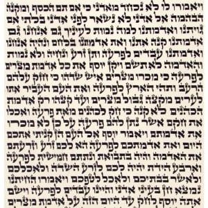 Ashkenaz Ktav Beit Yossef Torah Scroll