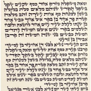 Ashkenaz Torah Scroll - Ktav Ari