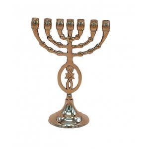 Seven Branch Menorah with Fish and Star of David, Brass Gold  8 Inches Height