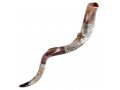 Decorative Yemenite Shofar with Sterling Silver with Menorah, Star of David and Olives