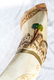 Jumbo Yemenite Hand Painted Shofar - Jerusalem with Olive Tree