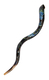 Collectors Hand Painted Yemenite Shofar - Grapevine