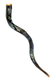 Collectors Hand Painted Yemenite Shofar - Grapevine