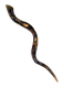 Collectors Hand Painted Yemenite Shofar - Gold Grapevine