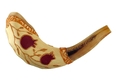 Light Hand Painted Rams Horn Shofar - Pomegranate