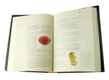 The Comprehensive Shemita book in English