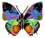 David Gerstein Double Sided Steel Wall Sculpture - Hadar Butterfly