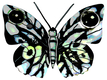 David Gerstein Double Sided Steel Wall Sculpture - Naomi Butterfly