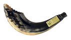 Ram's Horn Shofar Moroccan Style Dark Color with Crown Cut