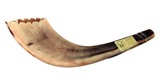 Ram's Horn Shofar Moroccan Style Light Color with Crown Cut