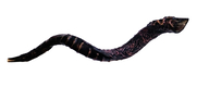 Majestic Leather-bound Jumbo Yemenite Shofar - Star of David Design