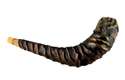 Distinctive Leather-bound Ram's Horn Shofar  Menorah Design