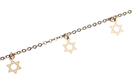 Anklet - Gold Rhodium with Gold Stars of David