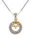 Rhodium Necklace Double Pendants - Silver Shema Israel and Gold Star of David