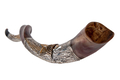 Decorative Yemenite Shofar with Sterling Silver with Menorah, Star of David and Olives