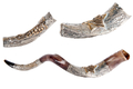 Decorative Yemenite Shofar with Sterling Silver with Menorah, Star of David and Olives