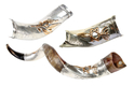 Temple Menorah Star of David Silver Yemenite Shofar
