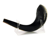 Lucite Stand for Medium Rams Shofar, 11-18 Inches Length