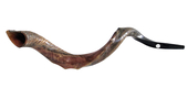 Half Natural Half Polished Nostalgic Crown Yemenite Shofar