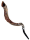 Half Natural Half Polished Nostalgic Crown Yemenite Shofar