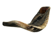 Natural Black Ram's Horn Shofar with Bag and Cleaning Spray Gift Set