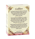 Galilee Anointing Oil - Spikenard 12 ml