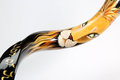 Hand Painted Yemenite Shofar - Lion of Judah