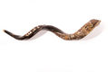 Hand Sculpted Yemenite Shofar - Jerusalem
