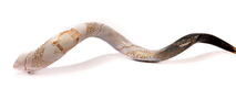 Collectors Hand Painted Yemenite Shofar - Gold Lyre
