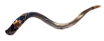 Collectors Hand Painted Yemenite Shofar - Gold Star of David