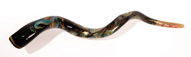 Collectors Hand Painted Yemenite Shofar - Peacock