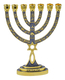 Messianic Seal Gold Tone Seven Branch Menorah Grafted Star of David - Gray