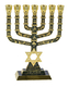 7 Branch Menorah Jerusalem & Judaic Images & Star of David, Dark Green - 9.5