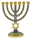7-Branch Gold Menorah with Gray Enamel, Judaic Symbols & Star of David - 9.5