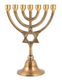 7-Branch Brass Menorah with Star of David on Stem, Gold with Antique Look � 7.5
