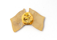 Israel-Mexico Flags Lapel Pin