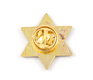 Star of David Zion Lapel Pin