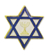 Star of David Blue & White Lapel Pin