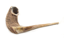 Extra Large Natural Rams Horn Shofar
