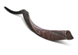 Personalized Shofar - Yemenite Kudu Horn Inscribed with Name