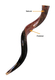 Personalized Shofar - Yemenite Kudu Horn Inscribed with Name